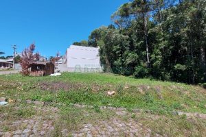 Terreno, no bairro Ana Rech em Caxias do Sul para Comprar