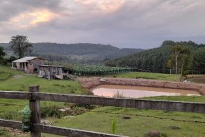 Chácara com 170m², 3 dormitórios, no bairro Ana Rech em Caxias do Sul para Comprar