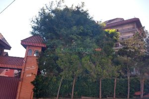 Apartamento com 200m², 3 dormitórios, 2 vagas, no bairro Universitário em Caxias do Sul para Comprar