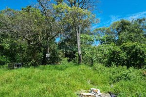 Terreno, no bairro São Caetano em Caxias do Sul para Comprar