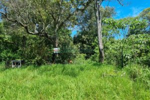 Terreno, no bairro São Caetano em Caxias do Sul para Comprar