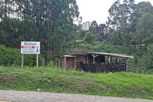 Terreno, no bairro Cruzeiro em Caxias do Sul para Comprar