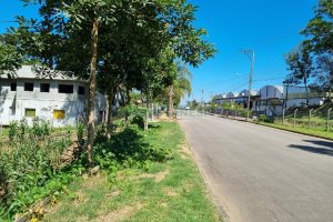 Terreno, no bairro Pedancino em Caxias do Sul para Comprar