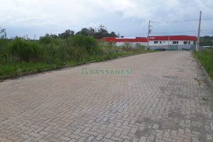 Terreno, no bairro São Ciro em Caxias do Sul para Comprar