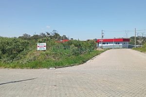 Terreno, no bairro São Ciro em Caxias do Sul para Comprar