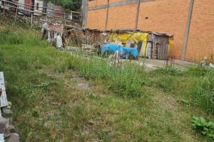 Terreno, no bairro Cristo Redentor em Caxias do Sul para Comprar