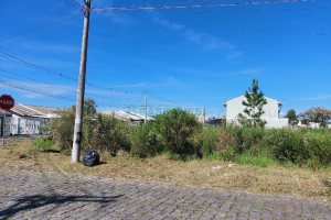 Terreno com 1500m², no bairro Nossa Senhora das Graças em Caxias do Sul para Alugar