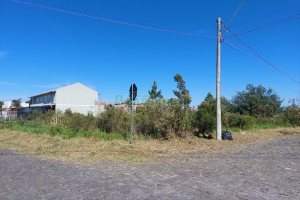 Terreno com 1500m², no bairro Nossa Senhora das Graças em Caxias do Sul para Alugar