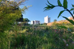 Terreno com 200m², no bairro Cinqüentenário em Caxias do Sul para Alugar