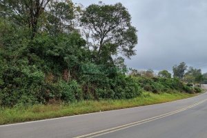Chácara, no bairro Forqueta em Caxias do Sul para Comprar