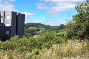 Terreno, no bairro Oriental em Caxias do Sul para Comprar