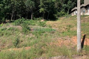 Terreno, no bairro São Luiz em Caxias do Sul para Comprar