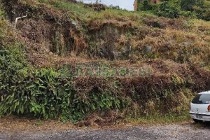 Terreno, no bairro São Leopoldo em Caxias do Sul para Comprar