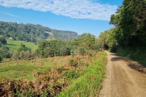 Chácara com 200m², no bairro Parada Cristal em Caxias do Sul para Comprar