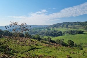 Chácara com 200m², no bairro Parada Cristal em Caxias do Sul para Comprar