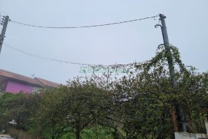 Terreno, no bairro Charqueadas em Caxias do Sul para Comprar