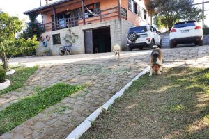 Chácara com 180m², 4 dormitórios, 2 vagas, no bairro Apanhador em Caxias do Sul para Comprar
