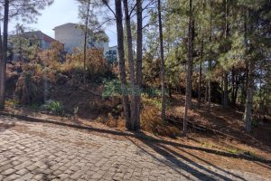 Terreno, no bairro Desvio Rizzo em Caxias do Sul para Comprar