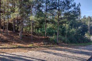 Terreno, no bairro Desvio Rizzo em Caxias do Sul para Comprar
