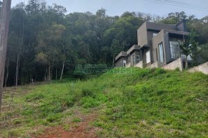 Terreno, no bairro São Luiz em Caxias do Sul para Comprar