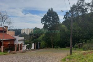 Terreno, no bairro São Luiz em Caxias do Sul para Comprar