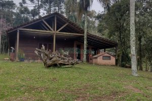 Chácara, no bairro Centro em Caxias do Sul para Comprar