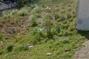 Terreno, no bairro Colina Sorriso em Caxias do Sul para Comprar