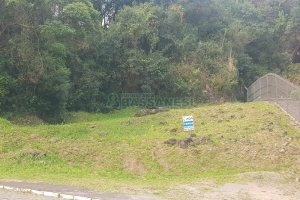 Terreno, no bairro Nossa Senhora de Fátima em Caxias do Sul para Comprar