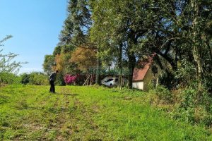 Chácara com 80m², no bairro Forqueta em Caxias do Sul para Comprar