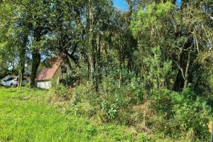 Chácara com 80m², no bairro Forqueta em Caxias do Sul para Comprar