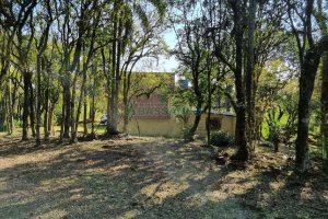 Chácara com 80m², no bairro Forqueta em Caxias do Sul para Comprar