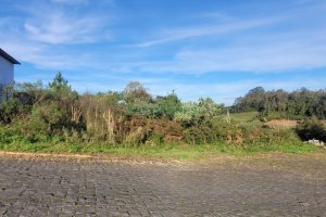 Terreno, no bairro São Luiz em Caxias do Sul para Comprar