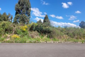 Terreno, no bairro Sanvitto em Caxias do Sul para Comprar