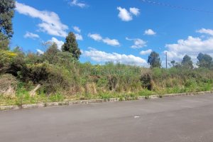 Terreno, no bairro Sanvitto em Caxias do Sul para Comprar