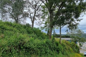 Terreno, no bairro Brandalise em Caxias do Sul para Comprar