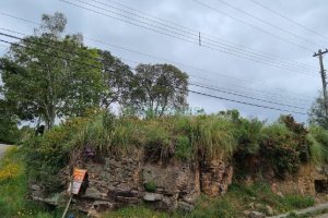 Terreno, no bairro Brandalise em Caxias do Sul para Comprar