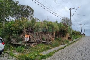 Terreno, no bairro Brandalise em Caxias do Sul para Comprar