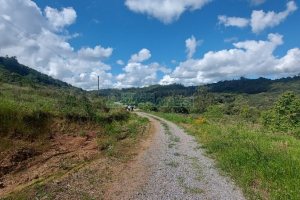 Terreno, no bairro Desvio Rizzo em Caxias do Sul para Comprar