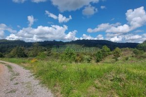 Terreno, no bairro Desvio Rizzo em Caxias do Sul para Comprar