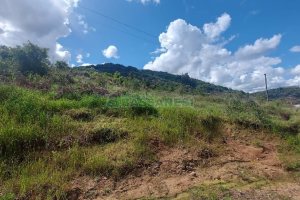 Terreno, no bairro Desvio Rizzo em Caxias do Sul para Comprar
