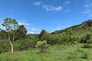 Chácara, no bairro Linha 40 em Caxias do Sul para Comprar