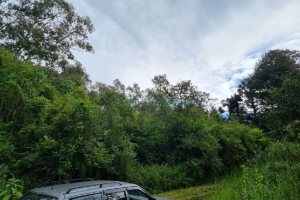 Chácara, no bairro São Caetano em Caxias do Sul para Comprar