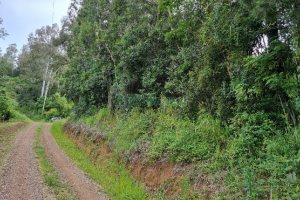 Chácara, no bairro São Caetano em Caxias do Sul para Comprar
