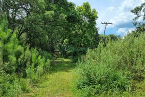 Chácara, no bairro Ana Rech em Caxias do Sul para Comprar