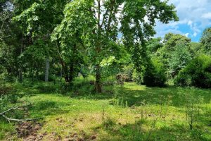 Chácara, no bairro Ana Rech em Caxias do Sul para Comprar