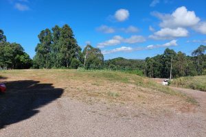 Terreno com 1500m², no bairro Nossa Senhora das Graças em Caxias do Sul para Alugar