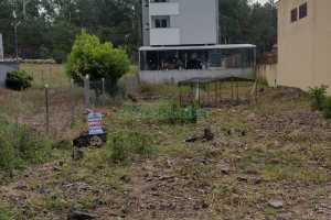 Terreno, no bairro Desvio Rizzo em Caxias do Sul para Comprar