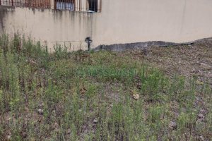 Terreno, no bairro Desvio Rizzo em Caxias do Sul para Comprar