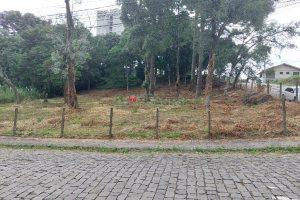Terreno, no bairro Petrópolis em Caxias do Sul para Comprar