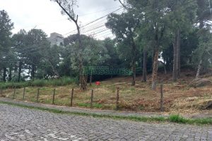 Terreno, no bairro Petrópolis em Caxias do Sul para Comprar